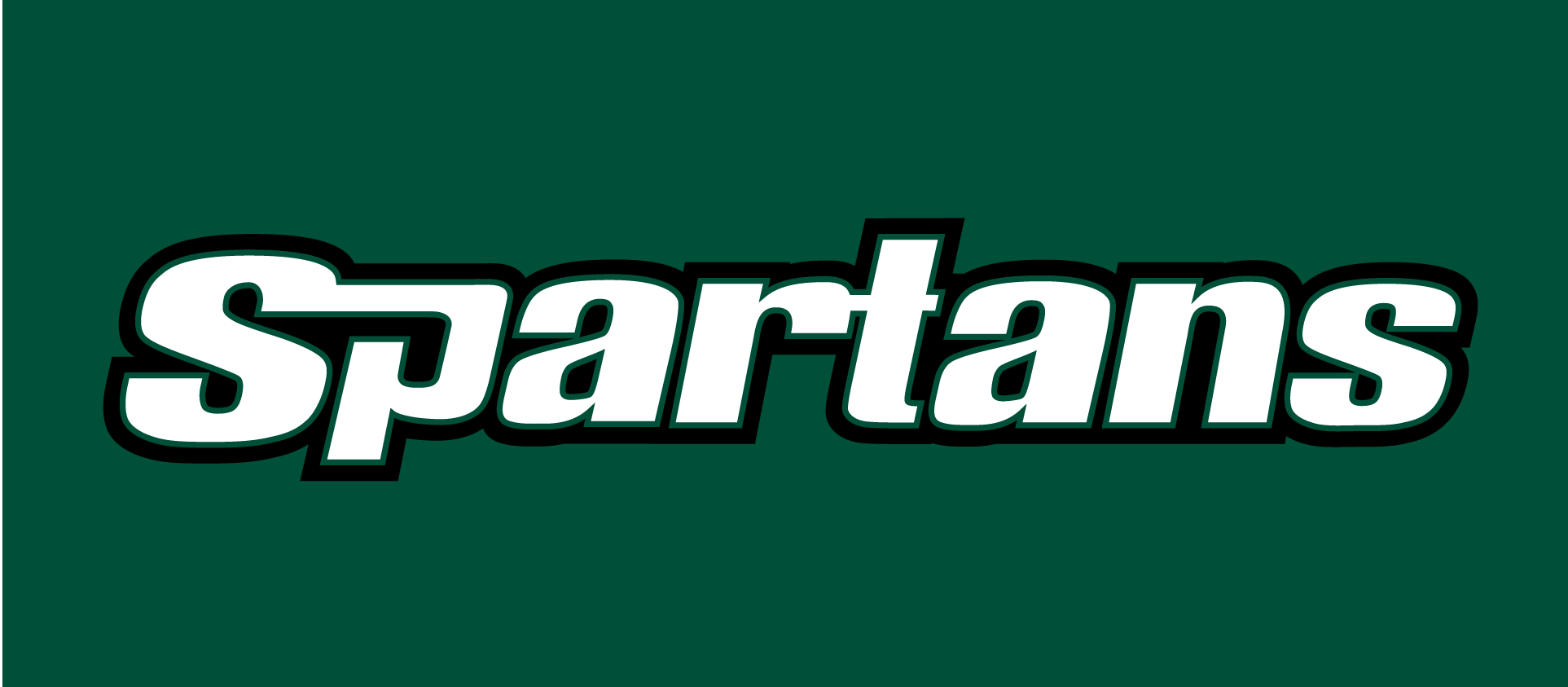 USC Upstate Spartans 2003-2010 Wordmark Logo v2 iron on transfers for clothing